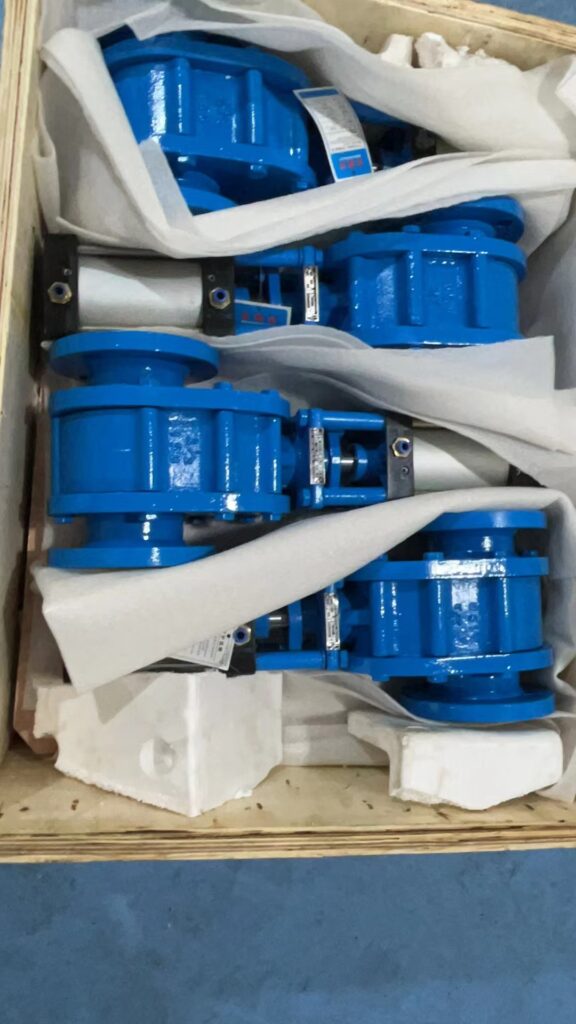 Pneumatic Ceramic Double Gate Valves