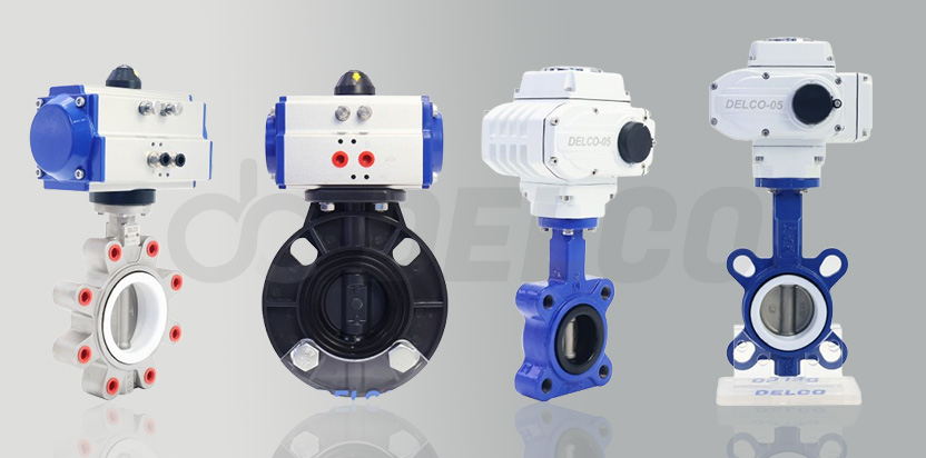 Butterfly Valve