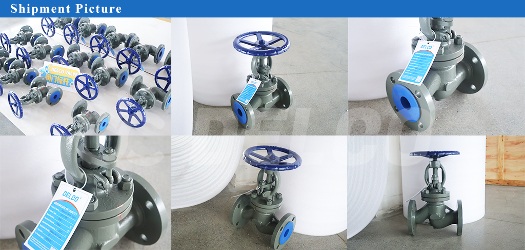 DELCO DN50 Manual Flange Globe Valve For Water