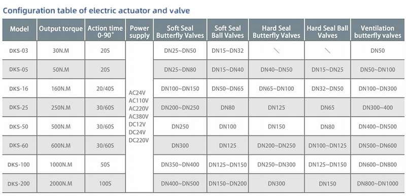 Electric Actuator0311